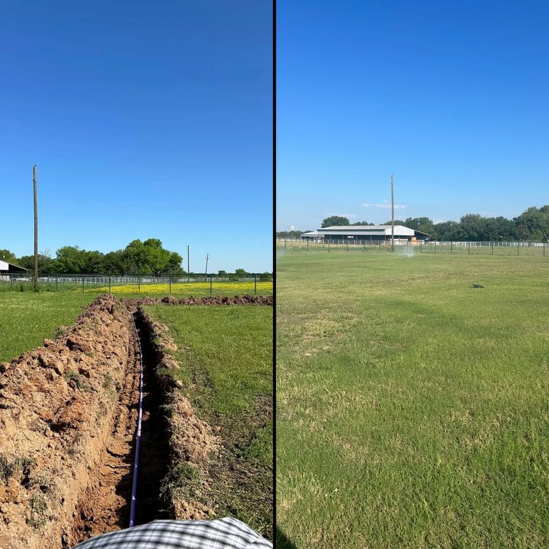 Before and After