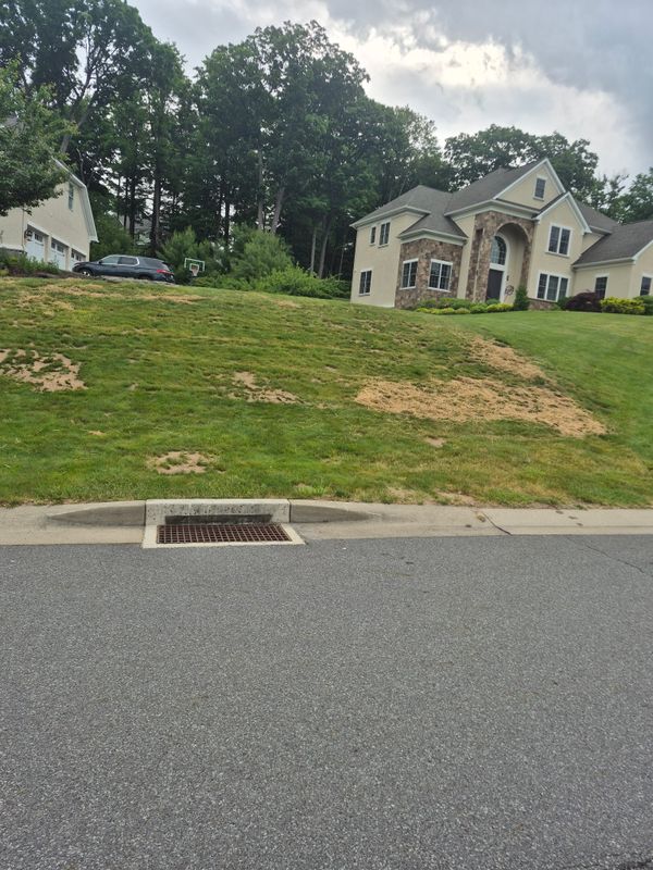 Plant & Shrub Installations