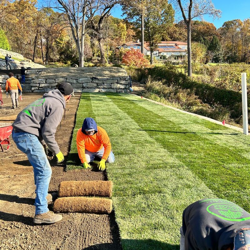 Landscaping