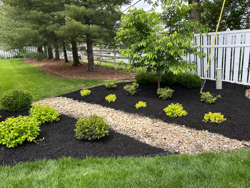 Landscape Design & Installation