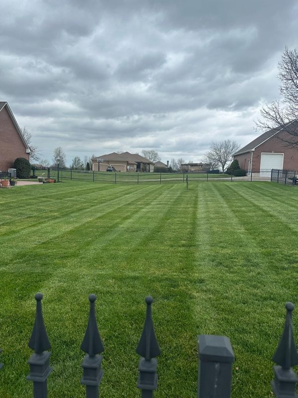 Lawn Mowing and Maintenance