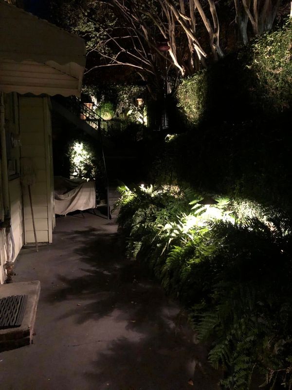 Outdoor Lighting Installation