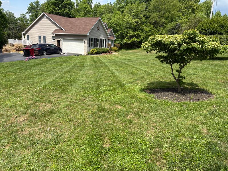 Lawn Maintenance