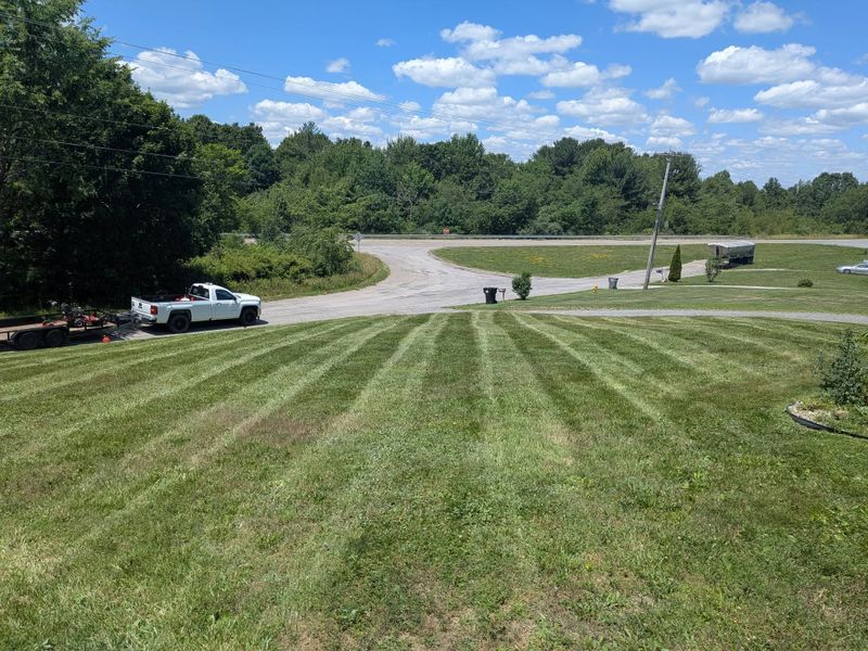 Lawn Maintenance