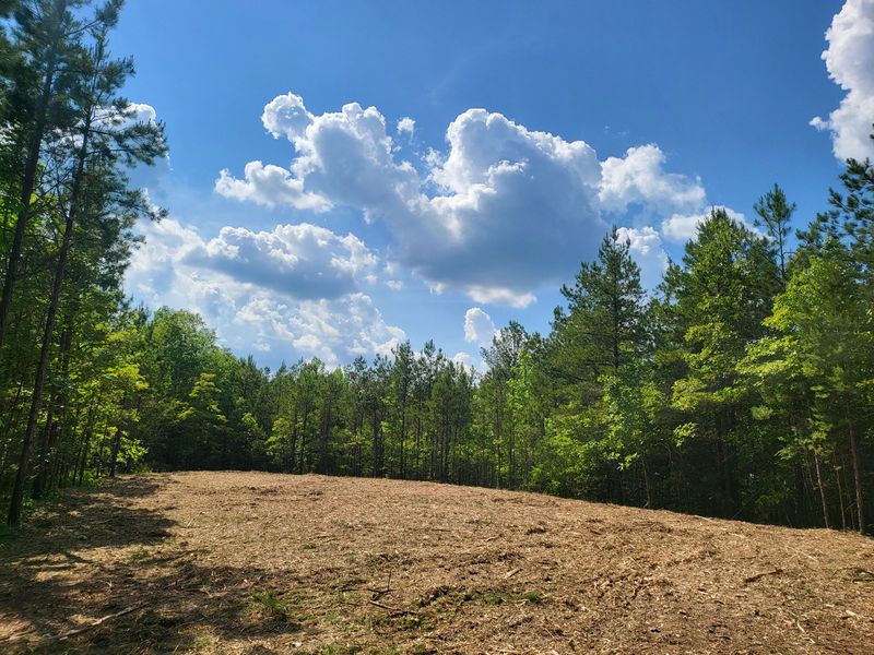 Transforming Landscapes: Efficient Land Clearing for Your Dream Home