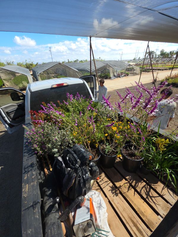 Garden Maintenance