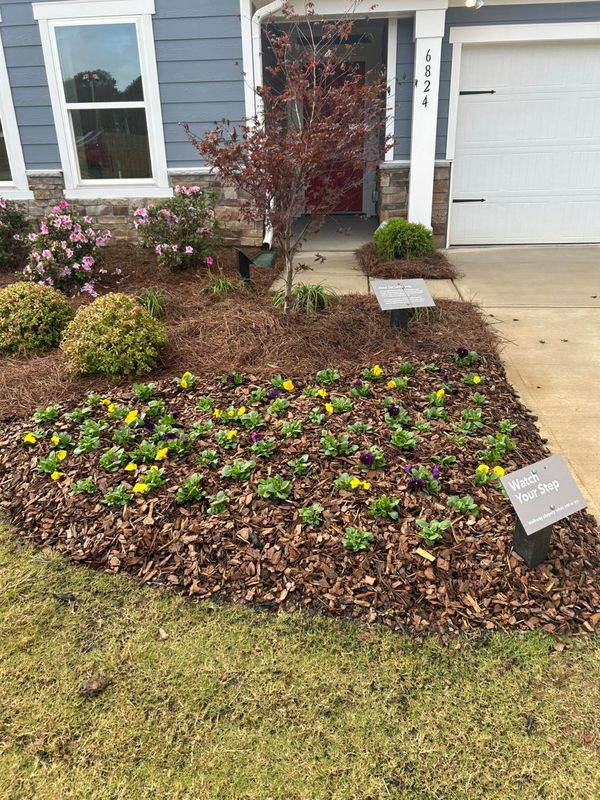 Hardscape Installation