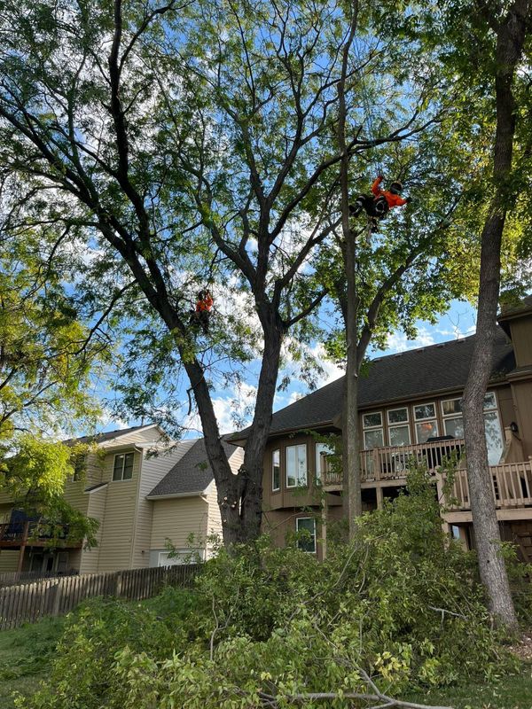 Fall Clean Up