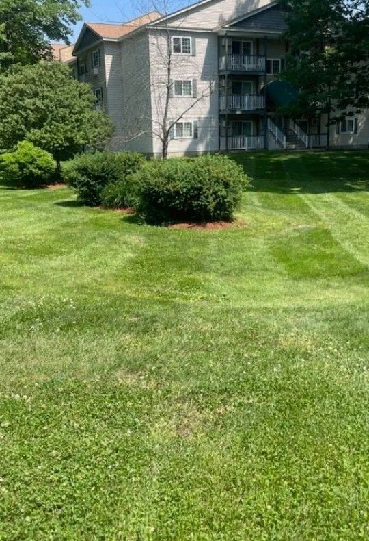 Commercial Landscaping