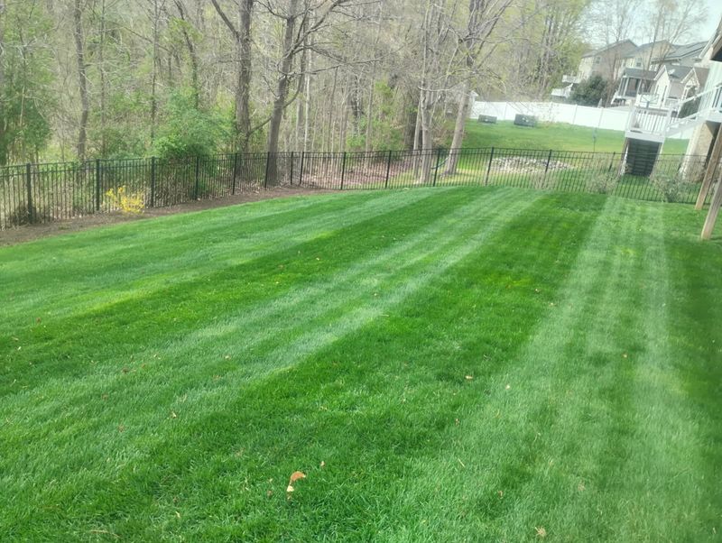 Lawn Maintenance