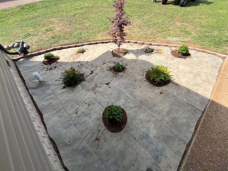 Landscape Installation