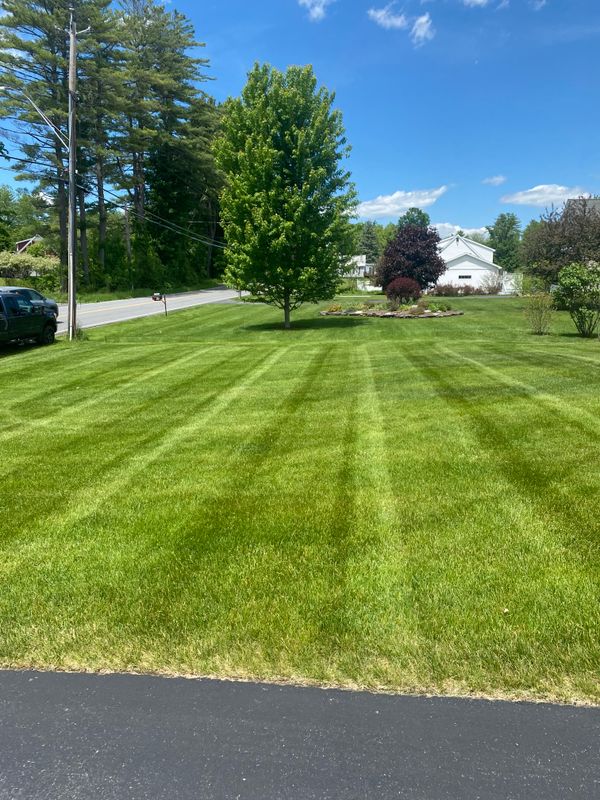 Mowing