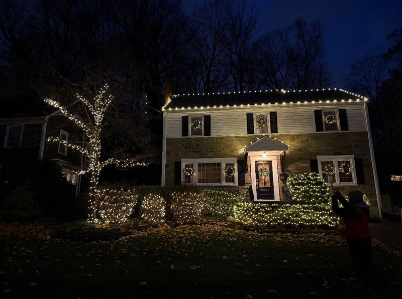 Christmas Light Installation