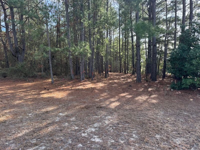 Forestry Mulching