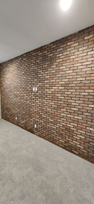 Accent wall/ Fireplaces