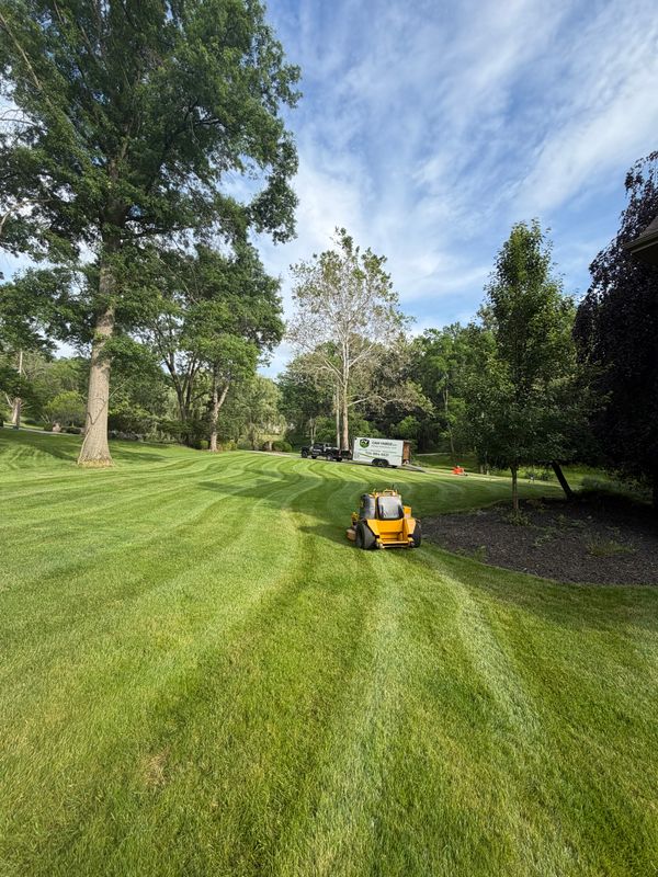 Commercial Lawn Maintenance