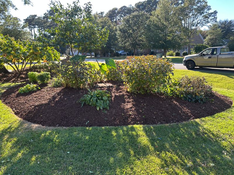 Mulch Installations