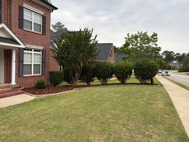 Bush & Shrub Trimming
