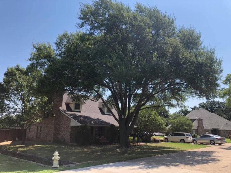 Hardscaping Landscaping