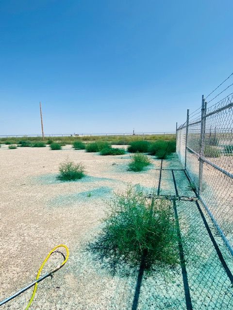 Weed Remediation