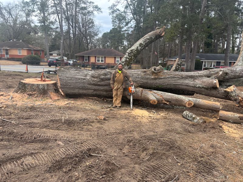 Land Clearing