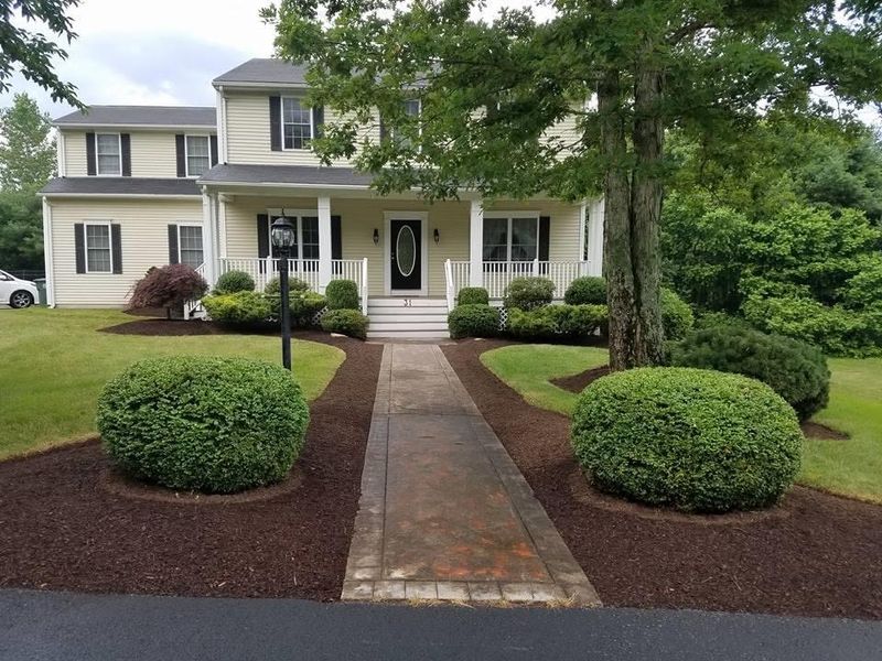 Tree & Shrub Care