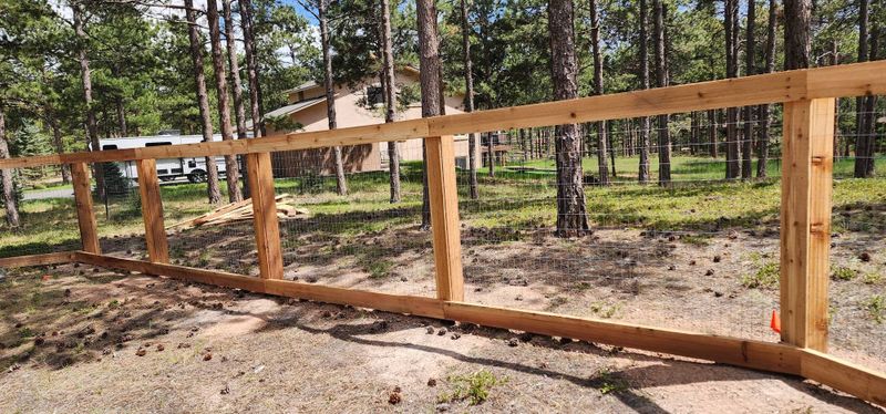 Fence Maintenance