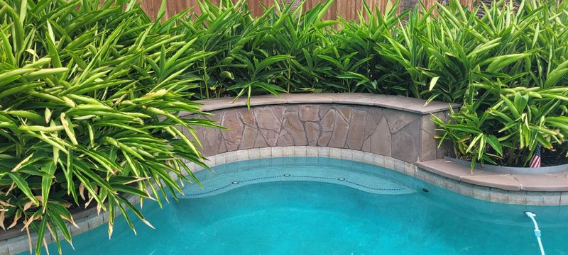 Pool Deck Paving