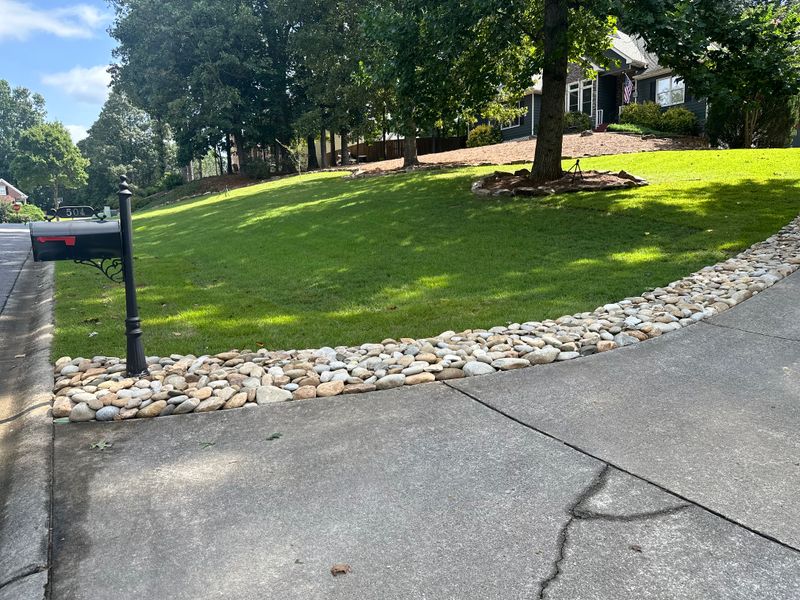 Landscape Design and Installation
