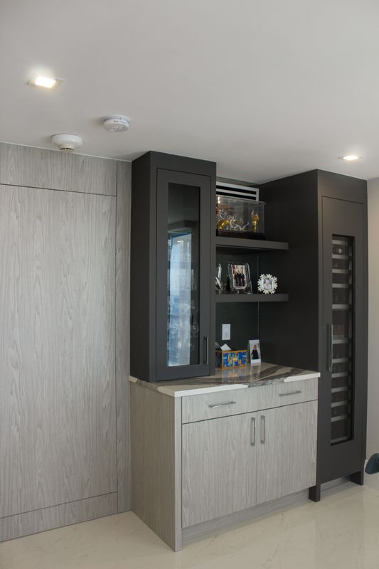 Condo Renovations