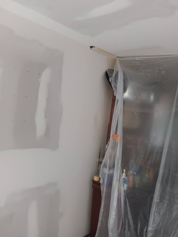 Painting and Drywall