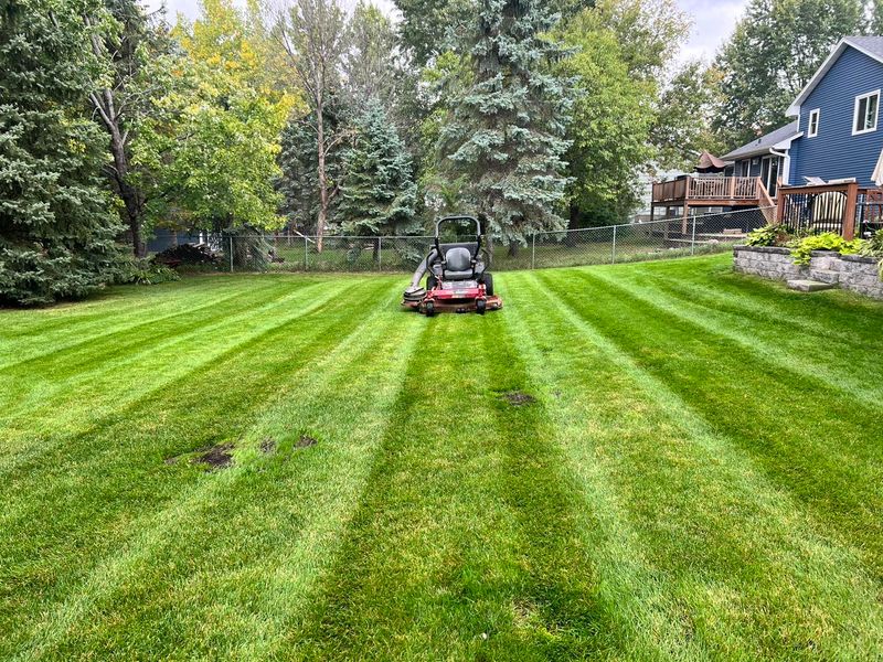 Lawn Care