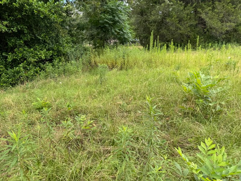 Land Managment 