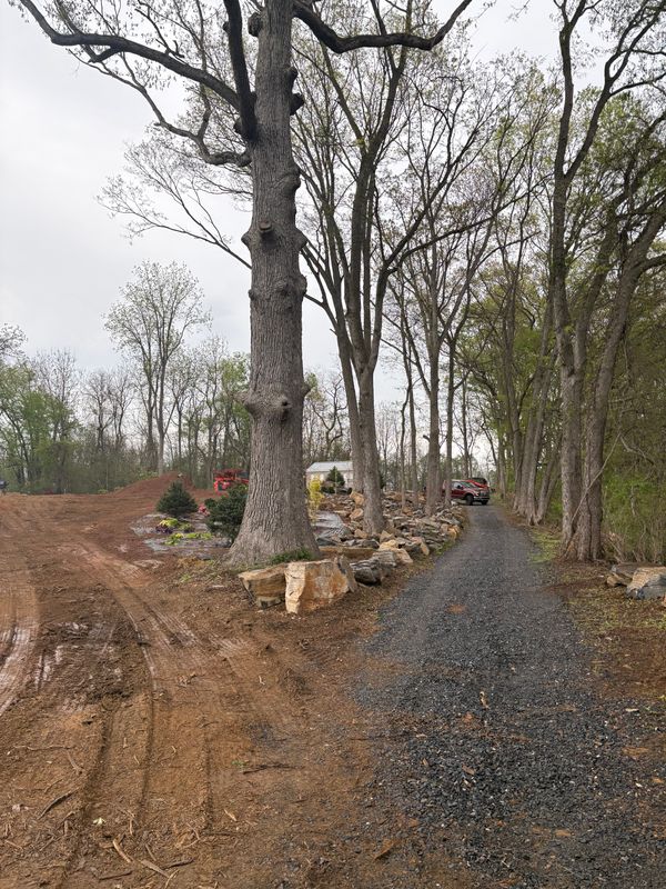 Land Clearing