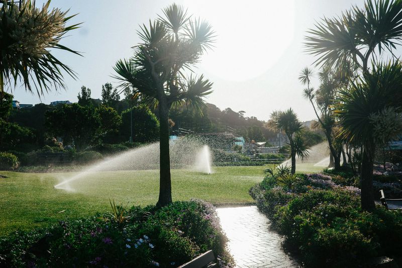 Garden Maintenance
