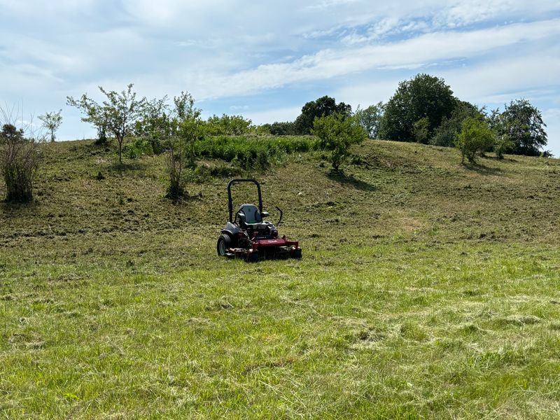 Landscaping