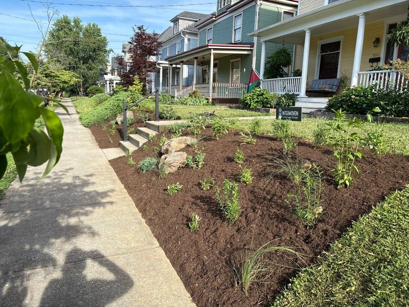Plant Installation