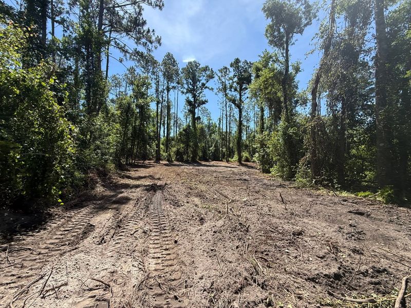 Land Clearing