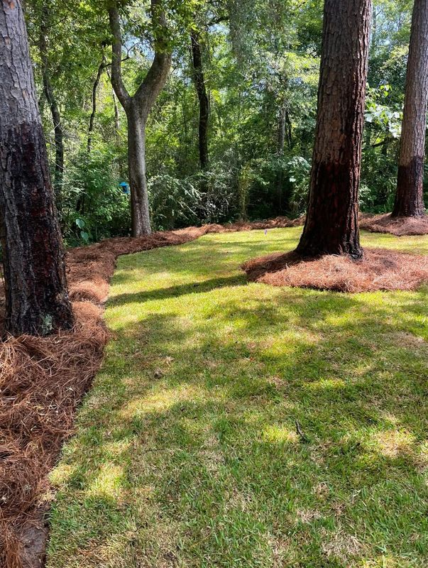 Landscape Maintenance