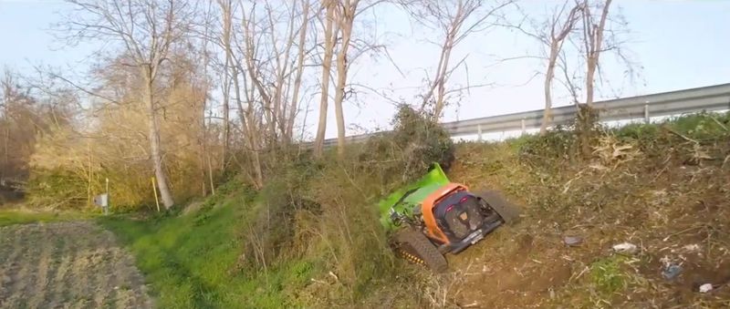 Vegetation Removal // Brush Removal
