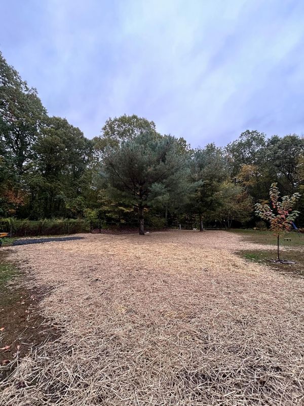 Hardscaping and Landscape Construction
