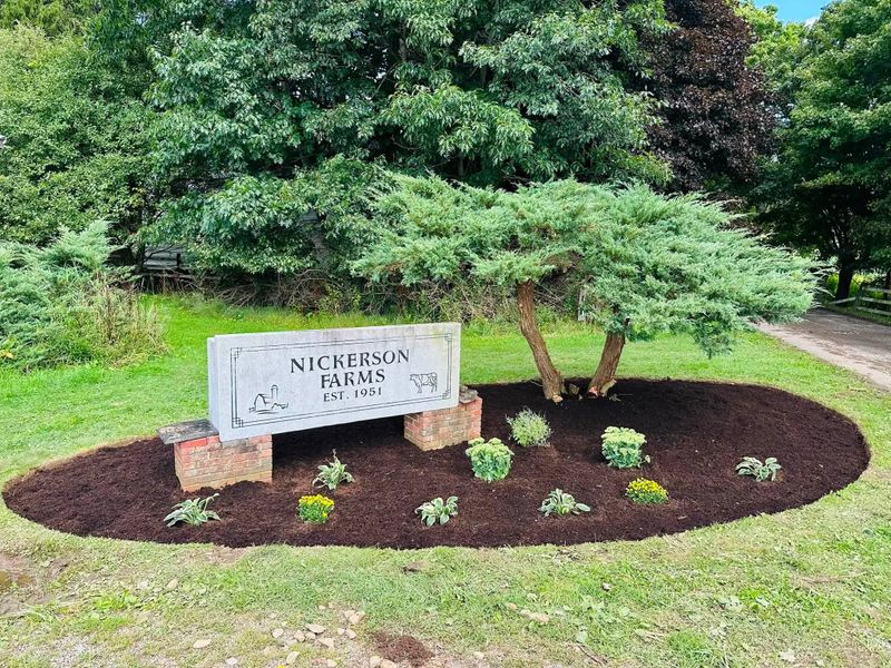 Shrub Trimming