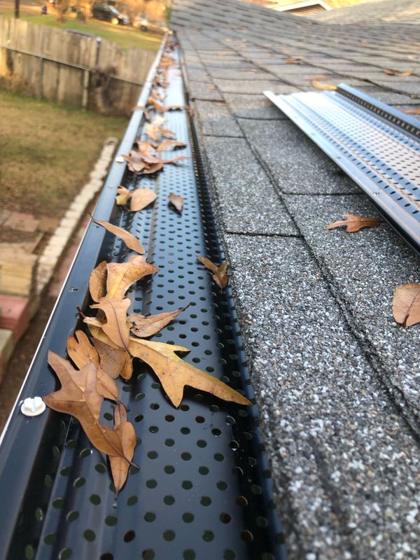 Gutter Cleaning