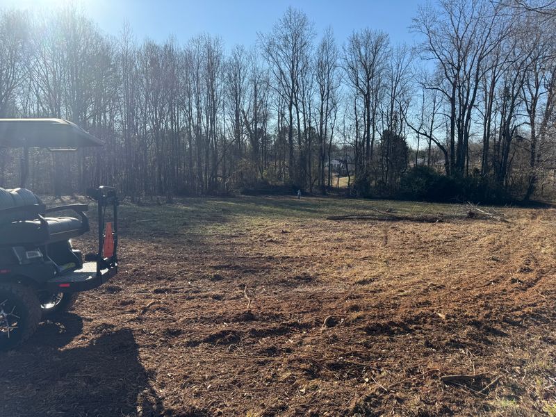 Land Clearing