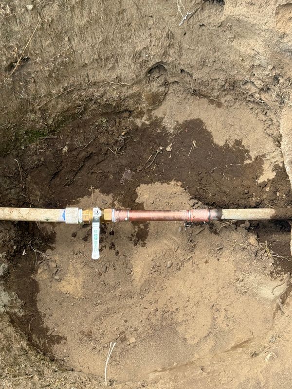 Valve Repairs