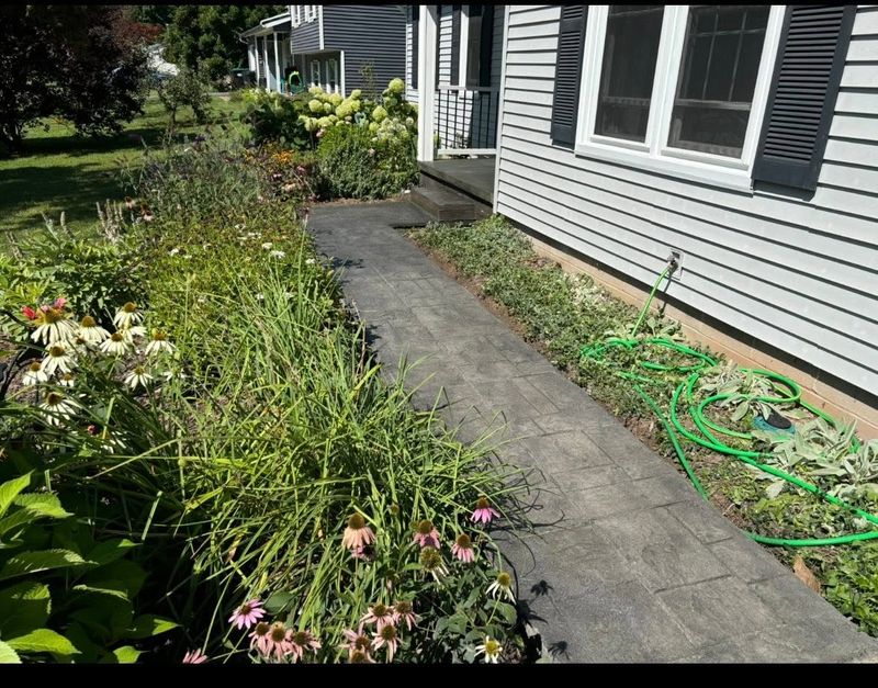 Driveways & Walkways