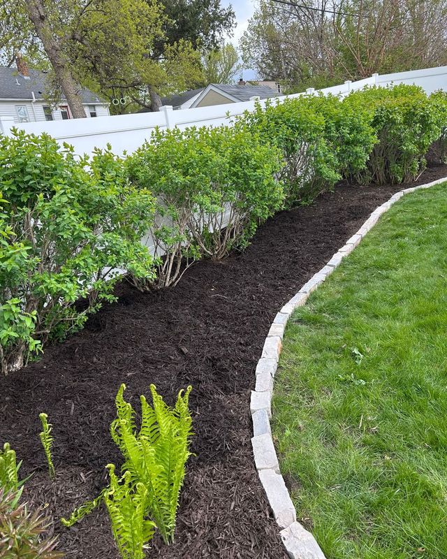 General Yard Cleanups