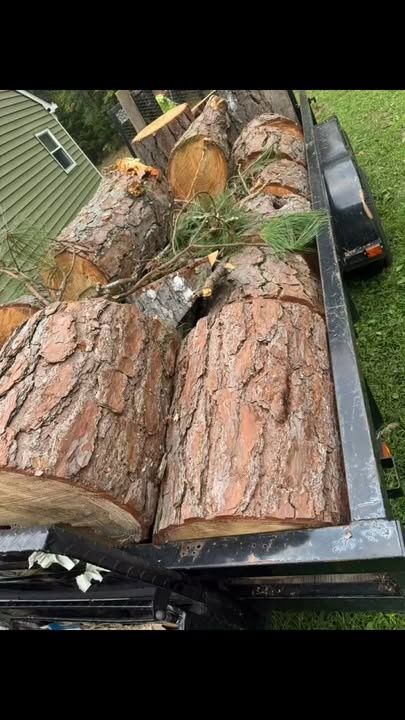 Tree Trimming