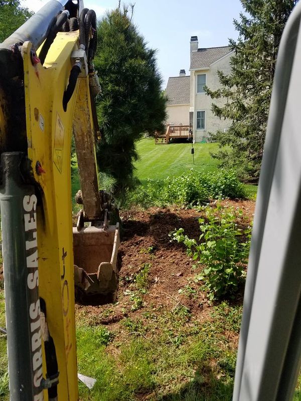 Tree Removal