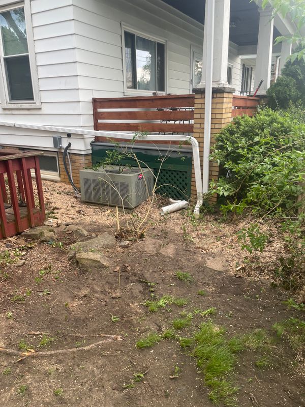 Tree Removal gallery
